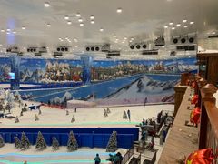 -长沙湘江冰雪世界