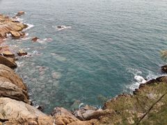 -广东惠东海龟国家级自然保护区