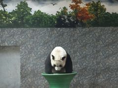 -西安秦岭野生动物园