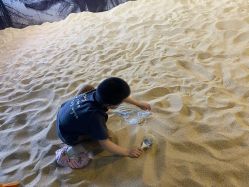 -恐龙探索乐园(磁器口店)