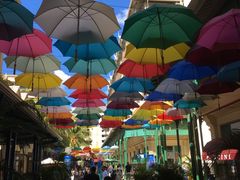 -西沃古尔·拉姆古兰爵士国际机场