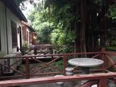 -阿伟海鲜楼·福建菜(涵江店)