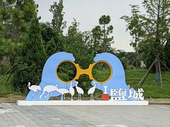 -盐城丹顶鹤湿地生态旅游区