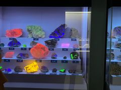 -湖南省地质博物馆