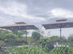 -蘇河湾·新鲁菜·泰山宴(泰山店)