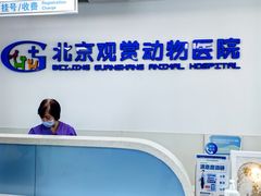 -北京观赏动物医院·24小时大型综合·猫专科·异宠专科