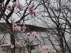 -长春净月潭风景名胜区