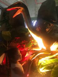 -恐龙探索乐园(磁器口店)