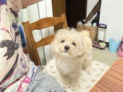 -全心全意动物诊疗中心医院(北苑店)
