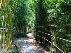 -竹子庵公园
