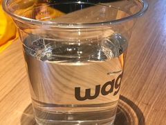 -Wagas沃歌斯(虹桥机场T1店)
