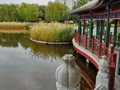 -西海子公园