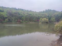 -岳麓山风景名胜区