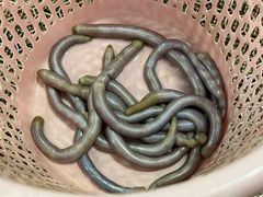 -岛中岛·海鲜大排档·万宁老字号(东澳店)