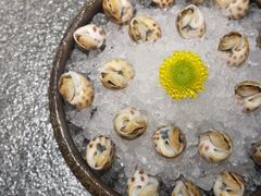 -大桥日本料理·日式放题·铁板定食(科兴科学园店)