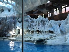 -帝企鹅自助餐厅•儿童岛•真企鹅(长隆企鹅酒店)