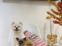 -Double Rui宠物酒店