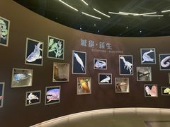 -香港科学馆