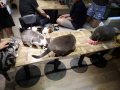 -小时光咖啡馆(开森度假森林店)