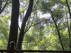 -巴倒烫陆派火锅山庄(南山总店)