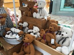 -济州岛泰迪熊博物馆