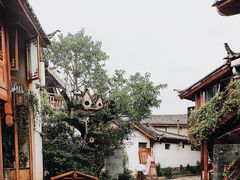 -猫的天空之城概念书店(丽江古城饮玉巷店)