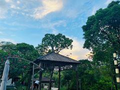 -厦门园林博览苑