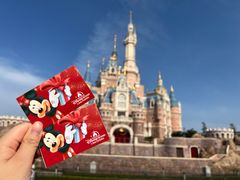 -上海迪士尼度假区