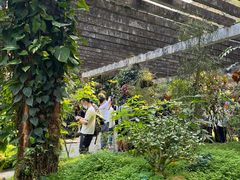 -深圳仙湖植物园-停车场