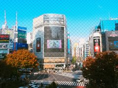 -涩谷全向十字路口