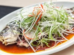 清蒸冷水鲩鱼无污染-小辣椒(华富店)