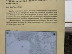 -南丫岛