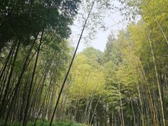 -金沙遗址博物馆