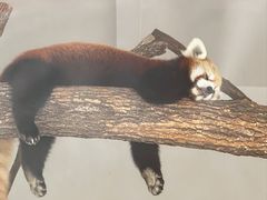 -杭州野生动物世界