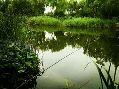 -新江湾城公园
