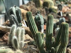 -国家植物园南园