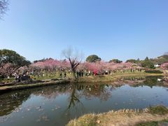 -无锡梅园公园