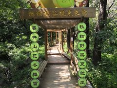 -大岭沟猕猴桃谷风景区