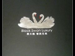 -BLACKSWAN黑天鹅(环球店)