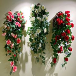 点击看大图 -变美丽半永久纹眉连锁·机器野生眉•洗眉