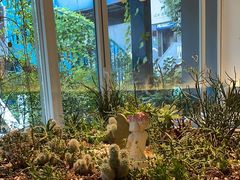 -春树下·树屋花房西餐厅(罍街AS1980店)