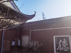 -长春观