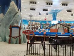 -长沙湘江欢乐雪域