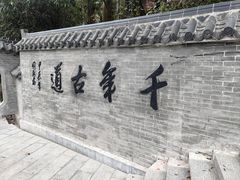 -广州市帽峰山景区