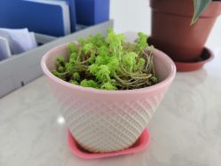 -Return·蕾特恩祛痘·皮肤管理中心