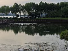 -金银湖国家城市湿地公园