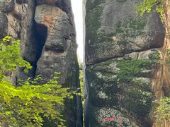 -汤旺河林海奇石景区