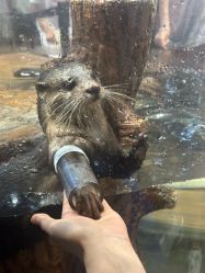 -Zoolung Zoolung动物主题公园(海信广场店)