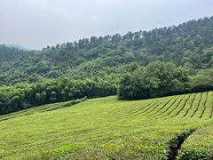 -敬亭山风景名胜区