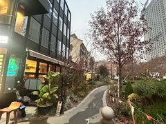 -上海柏悦酒店